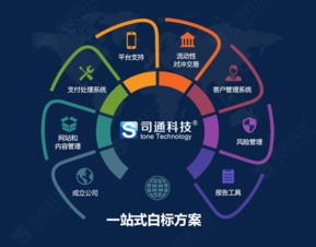 MT4平臺(tái)提供商、購(gòu)買(mǎi)成本及網(wǎng)站建設(shè)維護(hù)全解析